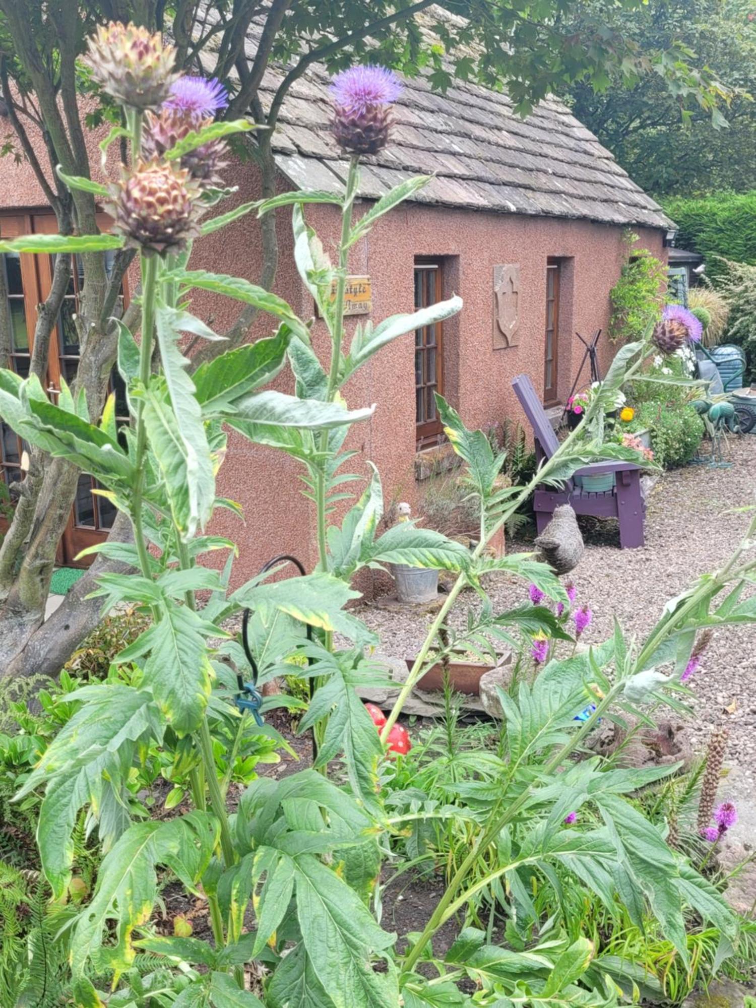 Bed and Breakfast Kirkstyle Hideaway Arbroath Exterior foto